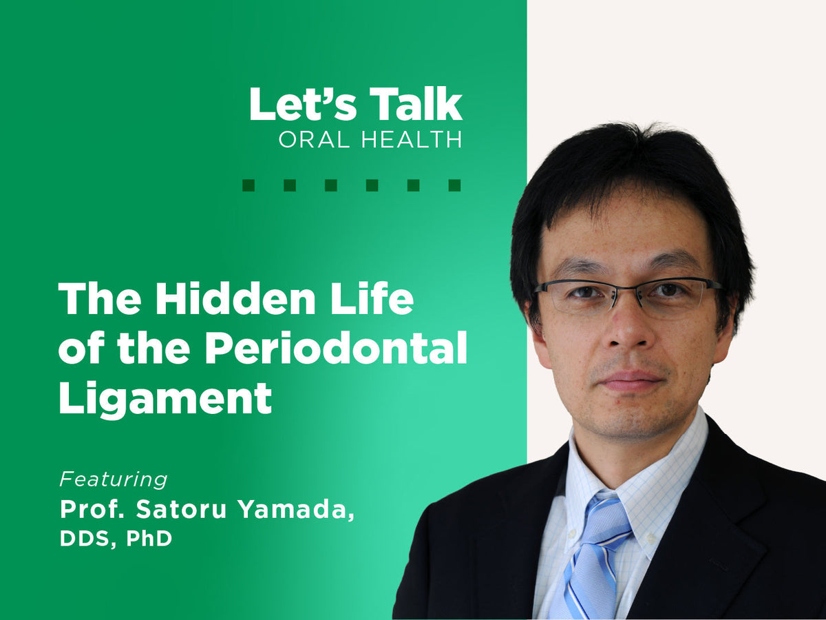 Periodontal Ligament Health | Understanding Its Role in Periodontal Disease